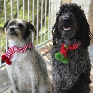 Meet your Posher, Eliana